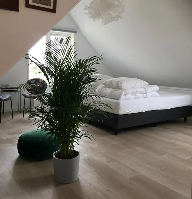 Kamers van Goud-1